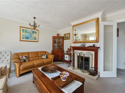 Picture 16